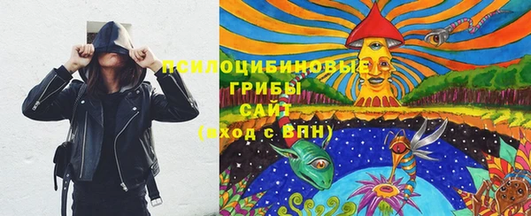 прущий лед Дмитриев
