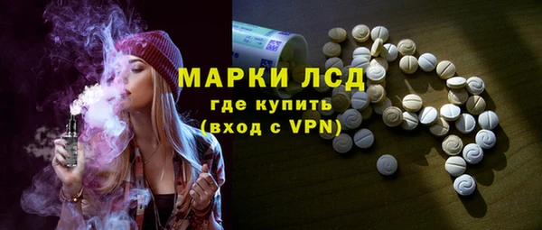 хмурый Алексин