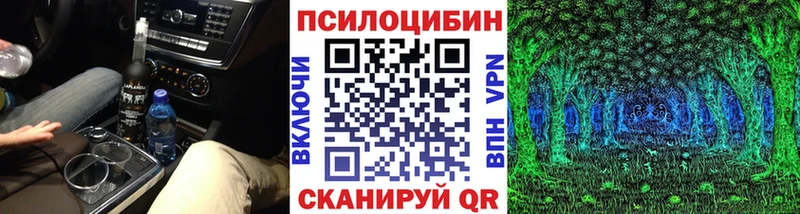 закладки Кондопога Галлюциногенные грибы MAGIC MUSHROOMS